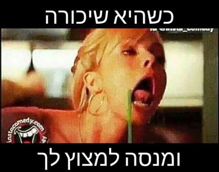 הגדל תמונה של Soid1990