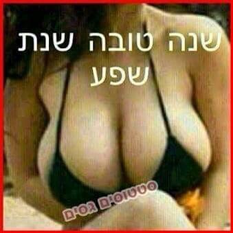 שון שון שון