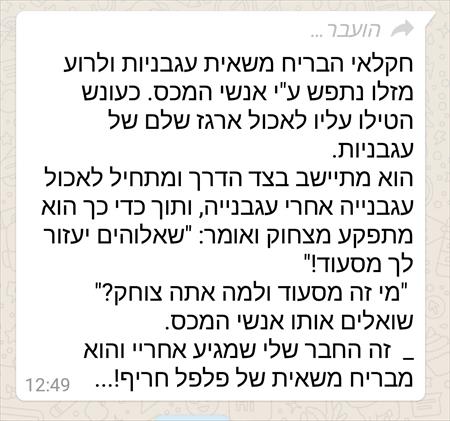 הגדל תמונה של Ariel g