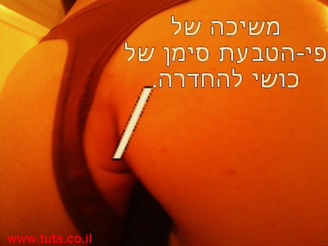 תמונות של תוכנית הדרכה.