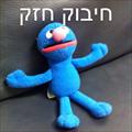 אלי4681